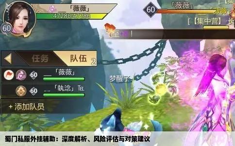 蜀门私服外挂辅助：深度解析、风险评估与对策建议