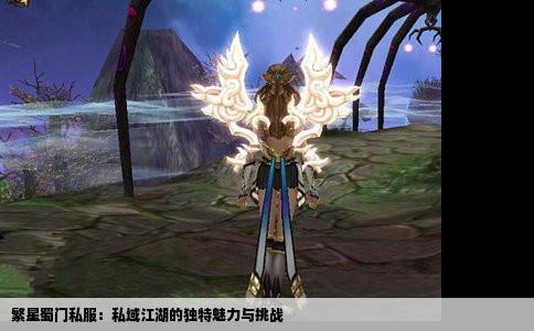 繁星蜀门私服：私域江湖的独特魅力与挑战